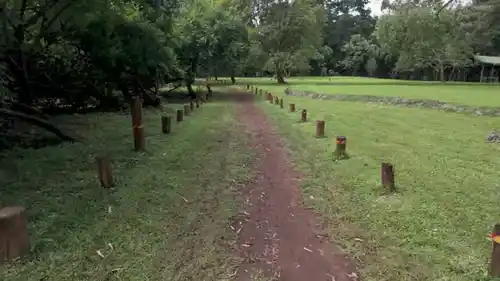 Peaceful walking path through a green park surrounded by trees